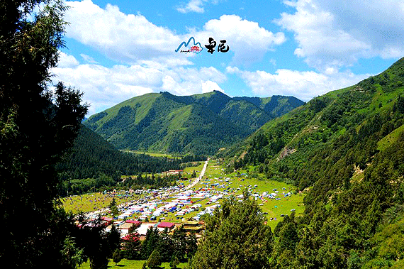 跨越千里的邀约 丝路明珠卓尼亮相潍坊