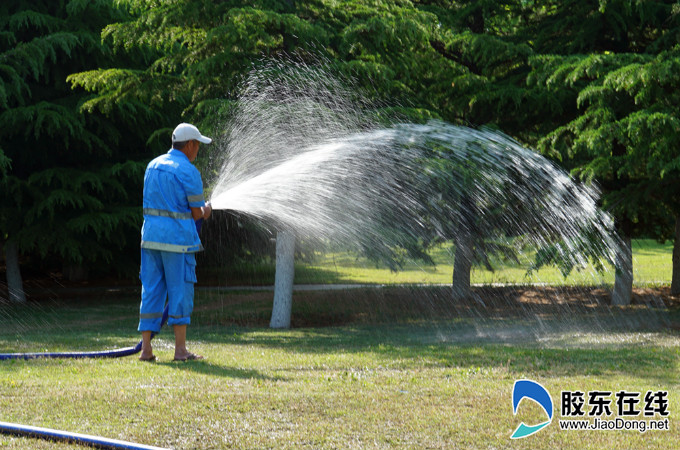 烈日下的坚守用汗水浇灌城市公园的园丁