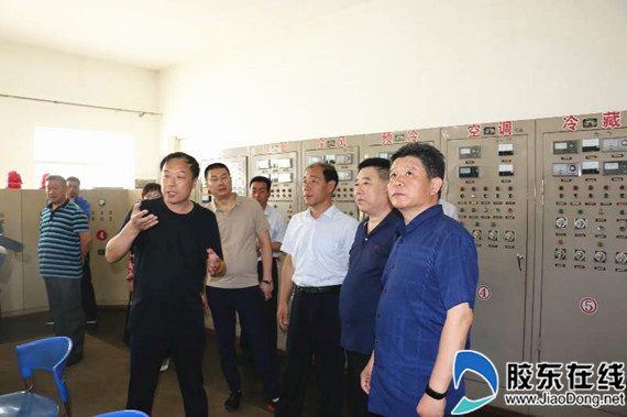 莱州市人大常委会开展安全生产执法检查