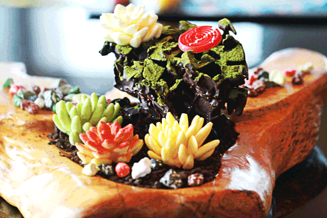 639_426gif 动态图 动图