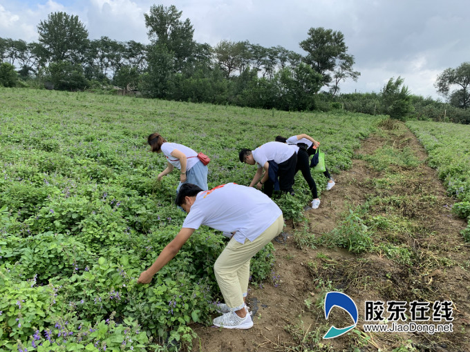 煙臺汽車工程職業學院社會實踐助力扶貧辦實事