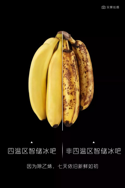 香蕉存储卡萨帝暖藏不变色普通冷藏变黑色