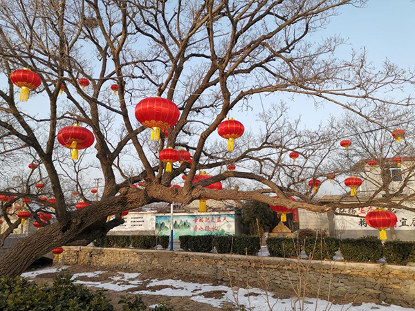 英格庄村大红灯笼高高挂