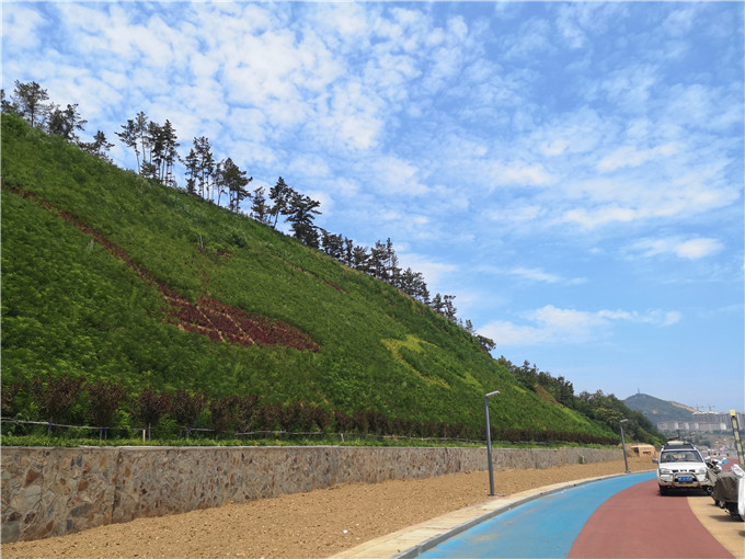 山体生态修复治理前后对比