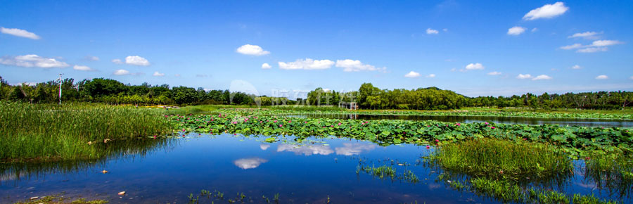 《溼地風采》組圖01 夾河公園