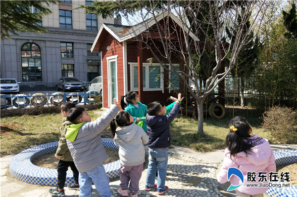 莱山实验幼儿园举办"我们在春天里长大"活动_烟台教育_胶东在线教育