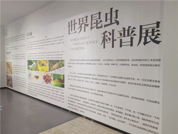 長島舉行世界昆蟲科普展 巨人蜈蚣 捕鳥蛛等亮相_膠東在線旅遊頻道