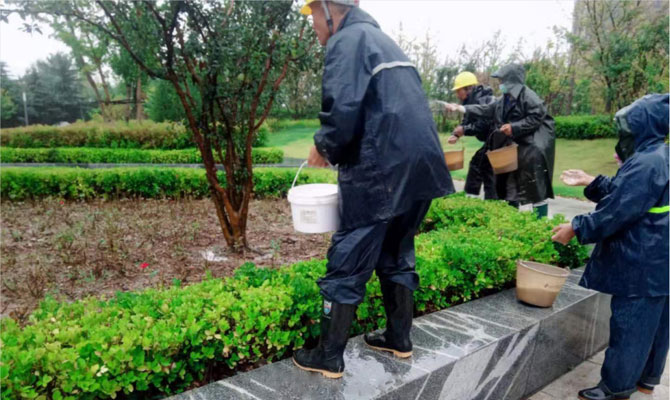 金秋喜雨园林工人施肥正当时