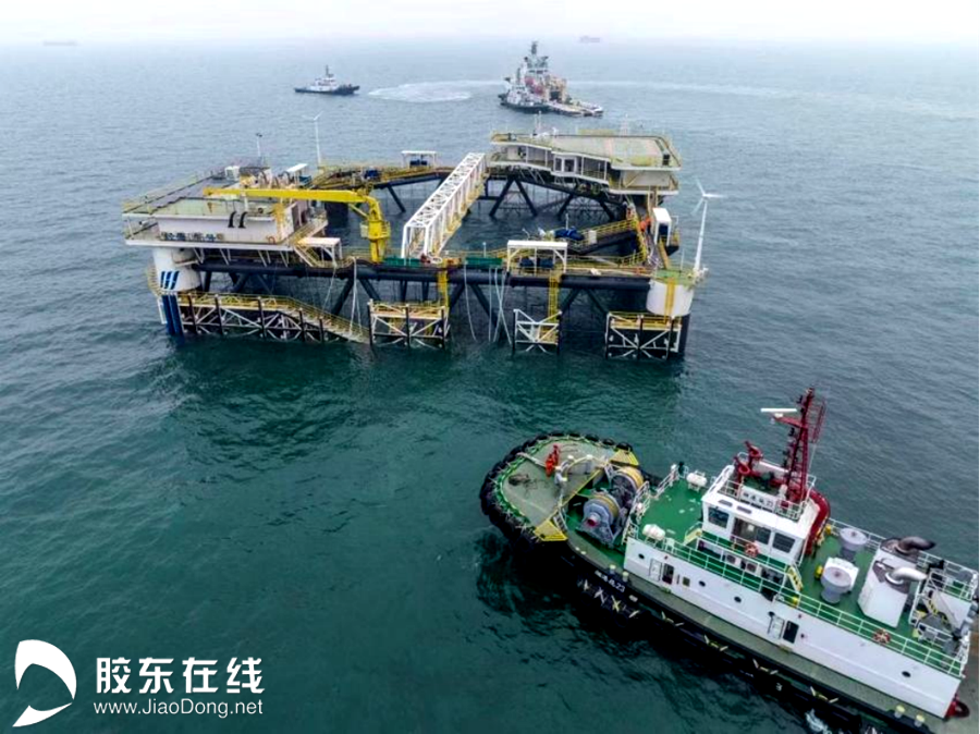 蔚蓝计划海好有你烟台守护海洋生态奏响海上田园牧歌