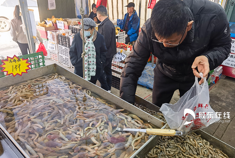 烟台春季海鲜市场热闹非凡 本地爬虾百元一斤仍受追捧