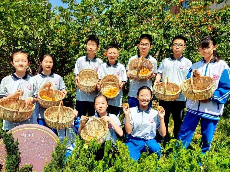 “杏”福采摘 “杏”运有你|烟台二中举行第六届校园采摘节