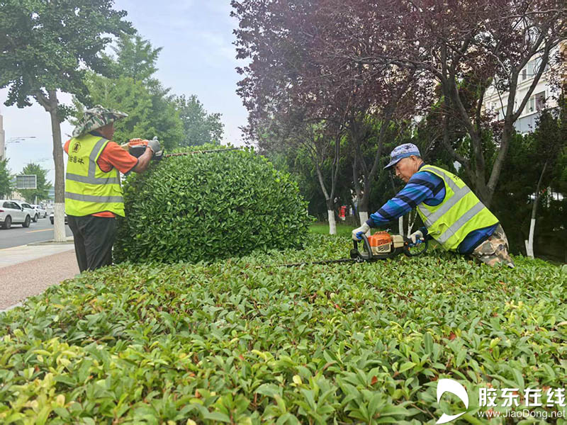 无惧高温“烤”验  市园林建设养护中心全力守护城市绿意