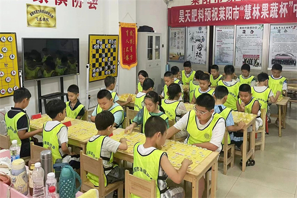 2025年莱阳市象棋比赛成功举办