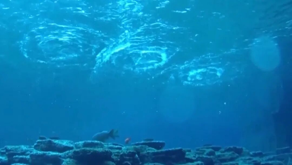 趵突泉“水涌若轮”是靠水泵？专家辟谣，央视揭秘真相