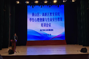 莱山区实验小学参加学生心理健康与生命安全教育培训会议