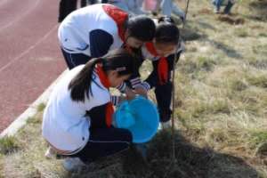 芝罘区锦绣小学开展植树节主题活动