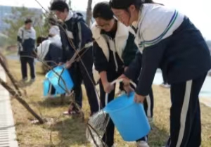 烟台天立高中学子接力守护凌霄花　校园处处涌动生命绿意